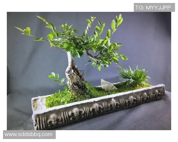 盆栽艺术:在有限空间中创造自然美感与生活的和谐氛围 盆栽艺术:在有限空间中创造自然美感与生活的和谐氛围